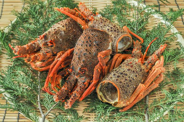 ごちそうフレンチ 冷凍ロブスターで簡単に作れる「テルミドール焼き」 レシピ08- 子供が喜ぶパパご飯ちょっとプレミアムな節約レシピと酒と肴