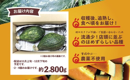 秋の味覚☆なめらかな甘さ☆ かぼちゃ ロロン 9kg 秋田谷農園a014-017北海道岩見沢市セゾンのふるさと納税