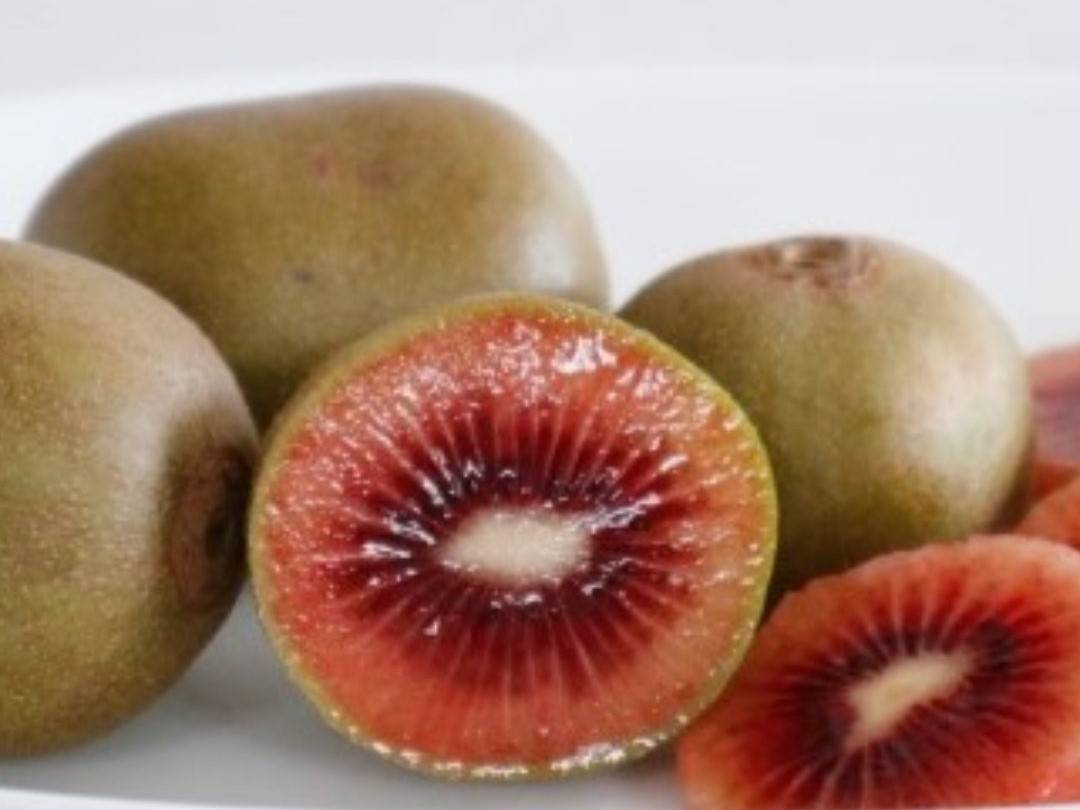 レッドキウイとは