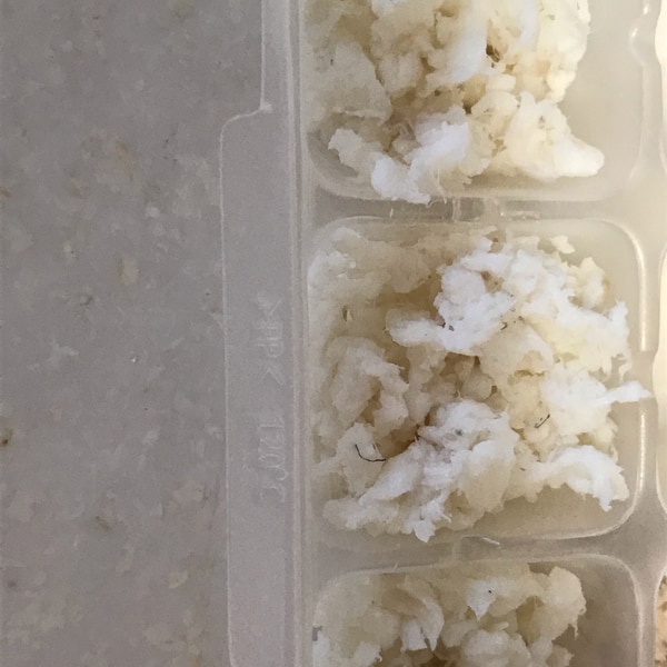 離乳食 鯛をあげるのはいつから？調理方法や食べさせるときの注意点を解説！