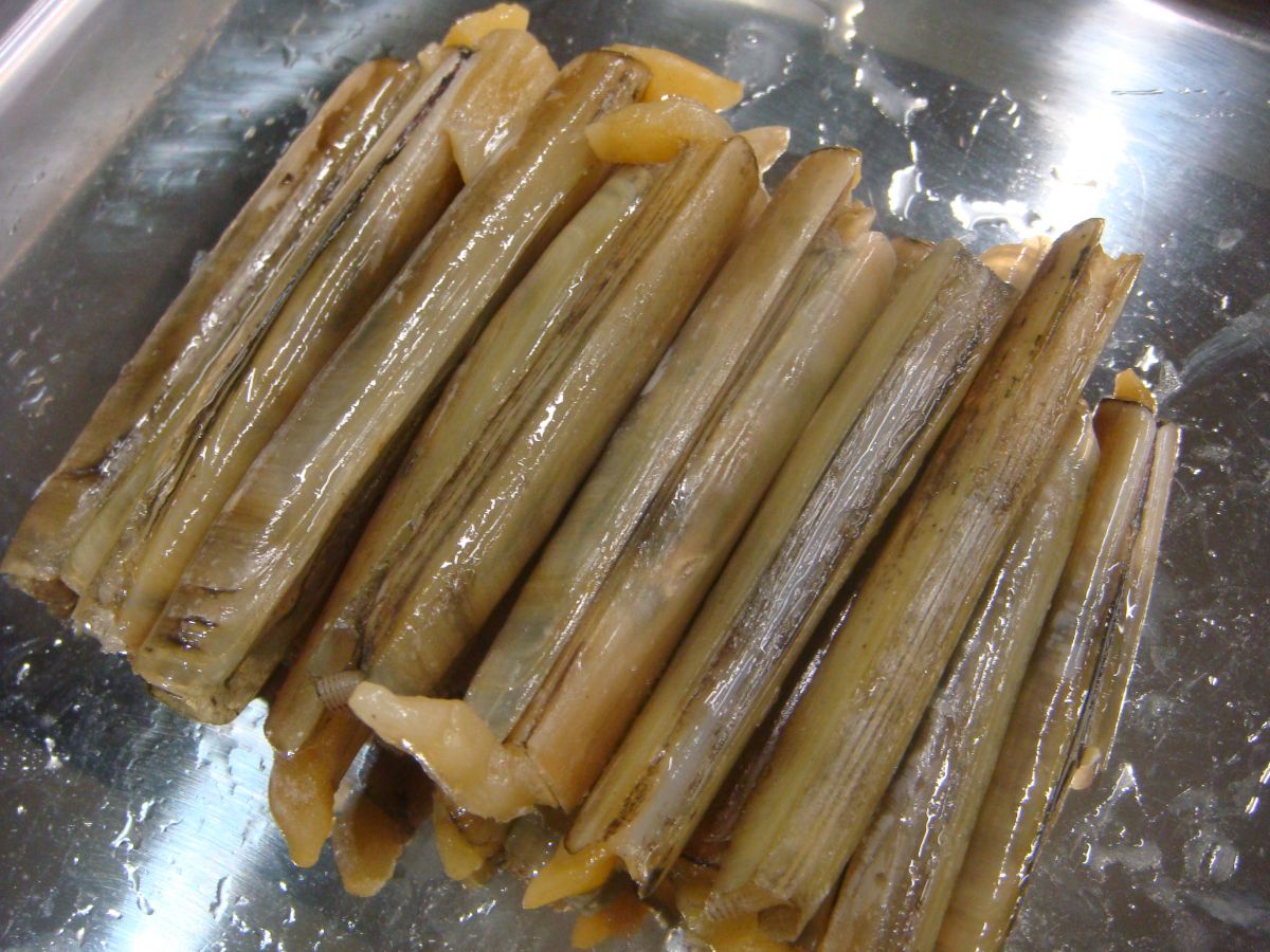 ついに来た❗️マテ貝シーズン❤️ 今シーズン初マテ貝は、香川県。 277獲れましたが、大きいのだけお持ち帰り🎵グリルで焼くだけでも美味しいんだけど、フライパンで酒蒸しにしたらマテ貝の甘味が増してウマウマ😚💖後々使いやすいように20本ずつジップロックに入れて