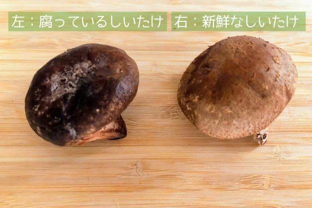 かさが黒っぽくなった椎茸をいくつか食べました。腐っていたので- Yahoo!知恵袋