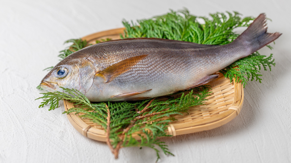 株式会社うおいち