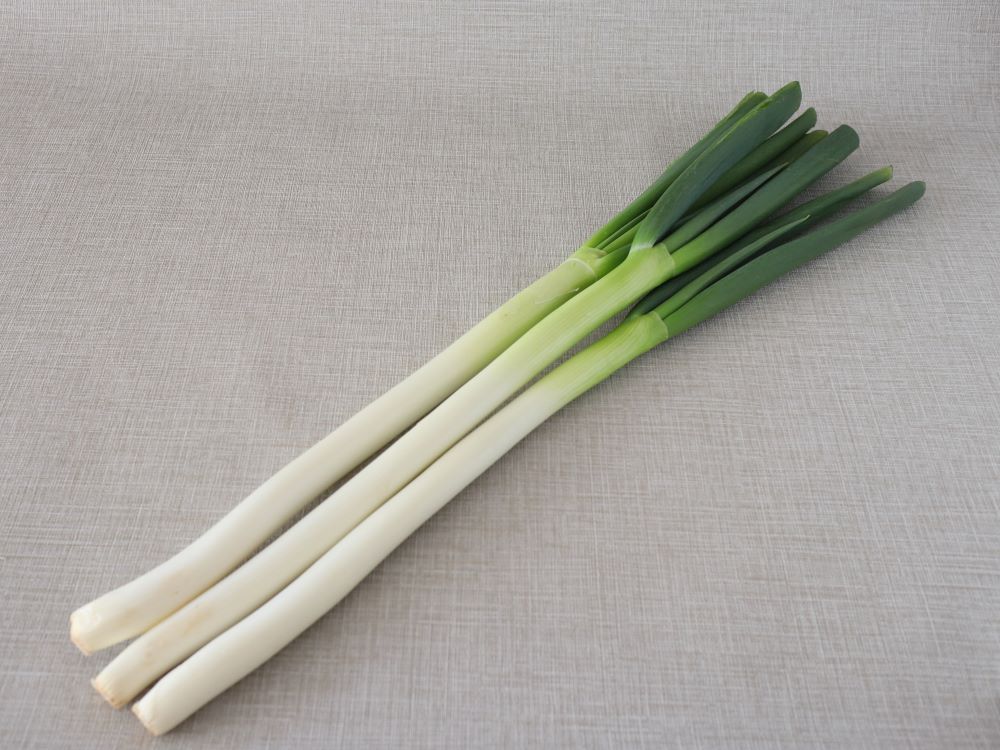 長ネギの下ごしらえ・洗い方・切り方毎日の野菜・フルーツレシピAll About