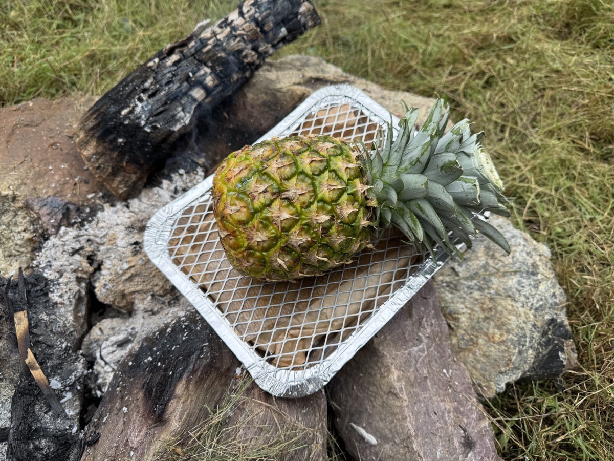 パイナップルの皮」で“盾”を作成→火炎放射器を浴びせたら“まさかの結果”に仰天「もはやドラゴンのうろこ」 海外1 3実験 ねとらぼ