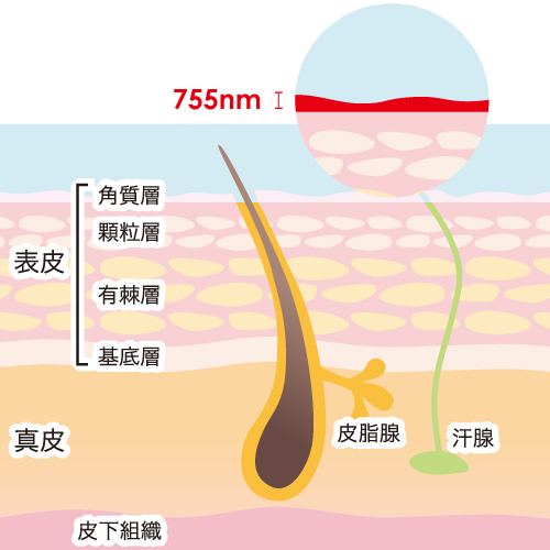 ビックリ！家にある“アレ”で毛玉が楽らく取れちゃうんです♪ | キナリノ