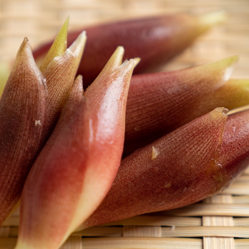 基本からアレンジまで！思わずつくりたくなる「みょうが 保存」のレシピ集クックパッド