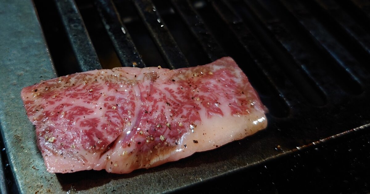 肉 黒い食べ物 ゼリー状の肉片 豚肉 牛肉 すぐに食べられる食事 食べ物 スナックPremium写真