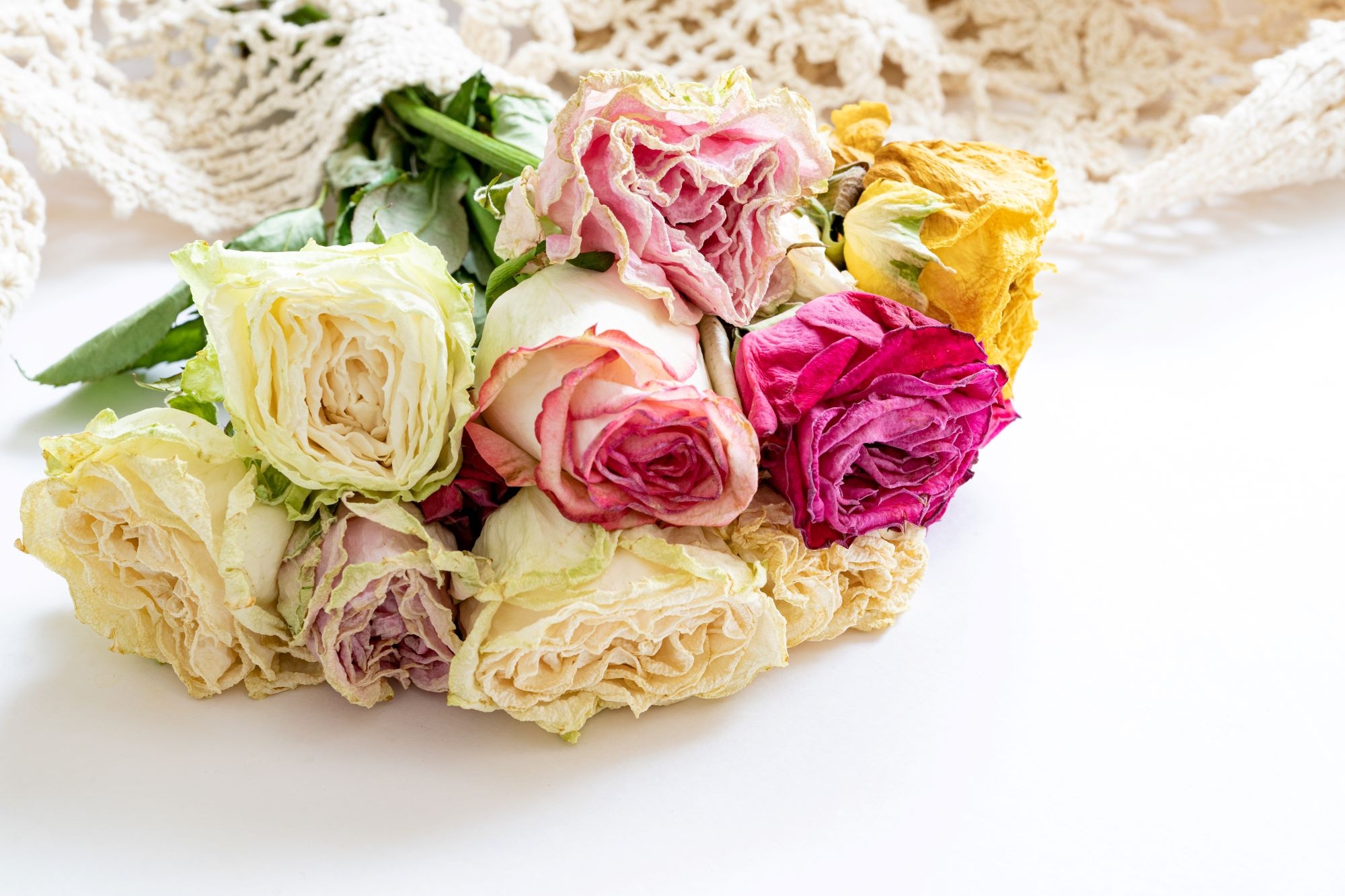 青い薔薇 ドライフラワー 作り方TikTok