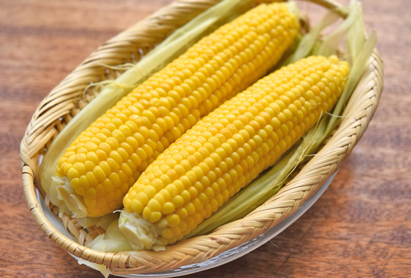 トウモロコシの選び方ジモベジ手帖静岡発の野菜宅配サービス ジモベジ の情報メディア