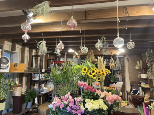 ダリア切り花販売のお知らせ