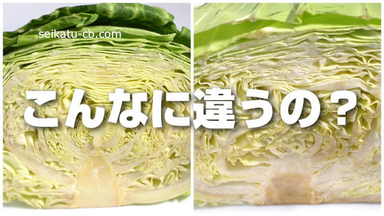キャベツの断面の黒ずみの正体とは 食べても問題ない？ 新鮮なものを選ぶポイントを栄養士に聞いたHint-Pot