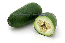 ちょっと変わったかぼちゃの仲間たちＪＡ東京あおば