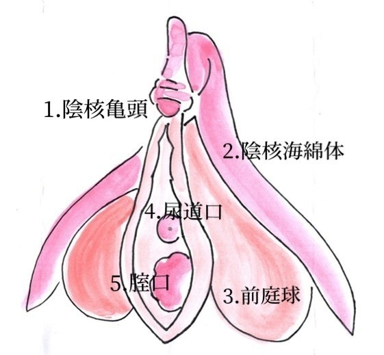 クリ責め特化40P✨】控え室で怒涛のクリ弄り！国民的イケメン俳優の淫らな指遣いでイカされちゃう！ - DLチャンネル