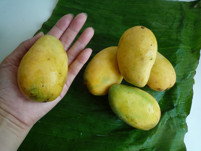 メイク・ミー・マンゴー公式 タイ国政府観光庁