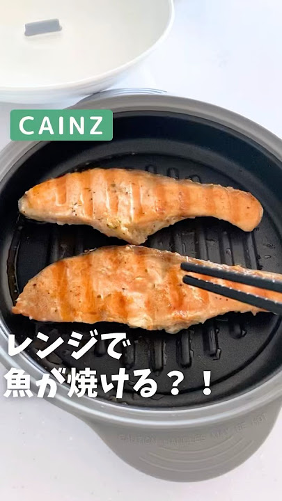 ヒロショー レンジグリルパン RGPS-01 レンジで焼ける!! レンジで焼ケール 魚焼き器 電子レンジ 焼き魚 レンジで焼き魚 専用 プレート 電子 レンジ調理器具 ポイント10倍送料無料dショッピング レンジ 魚焼き プレート グリルパン レンジ グリルプレート