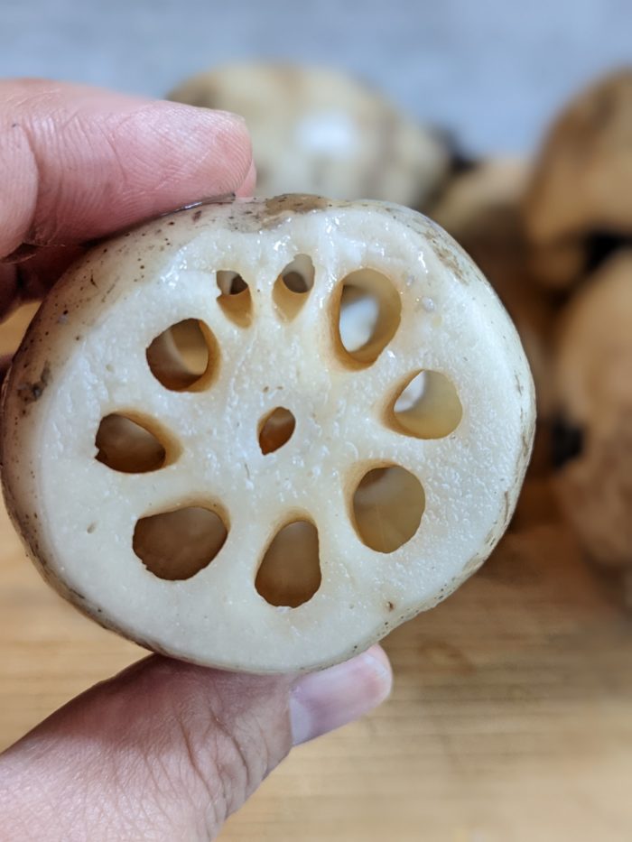 泥付きれんこん美味しいお取り寄せ！ホクホクで人気の蓮根の通販おすすめランキングベストオイシ