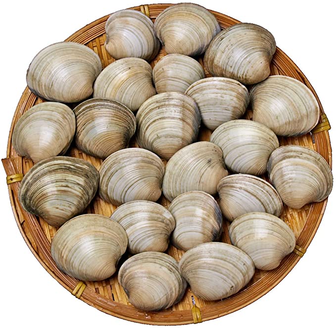 アレンジメニュー『ホンビノス貝とハマグリとアサリのワイン蒸し 』FOODLABO フード・ラボby 柴田書店