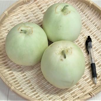 くわなゴハン桑名グルメ紹介@kuwana_moglog· Kuwana-shi, Mie