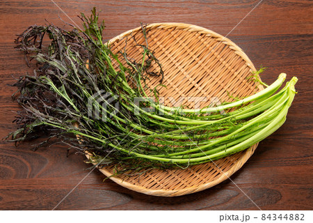 業界最安値セール開催中 タキイ種苗のカラシナ コーラルリーフプルーム 鮮赤紫色で辛みのある幅広切葉のカラシナ!商品詳細家庭菜園用種苗を多数取り扱っているよしなりサンガーデン