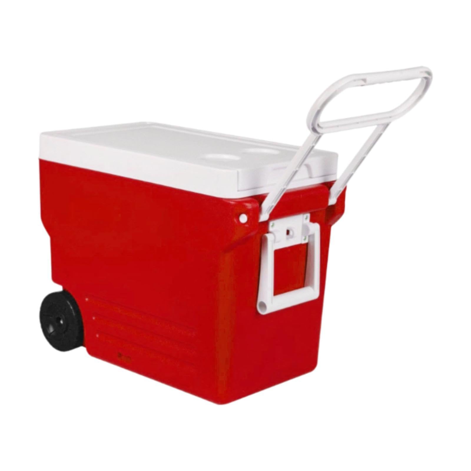 値下げ♥新品♥冷蔵庫 ポータブル電気式 保冷保温ボックス 13L オーム