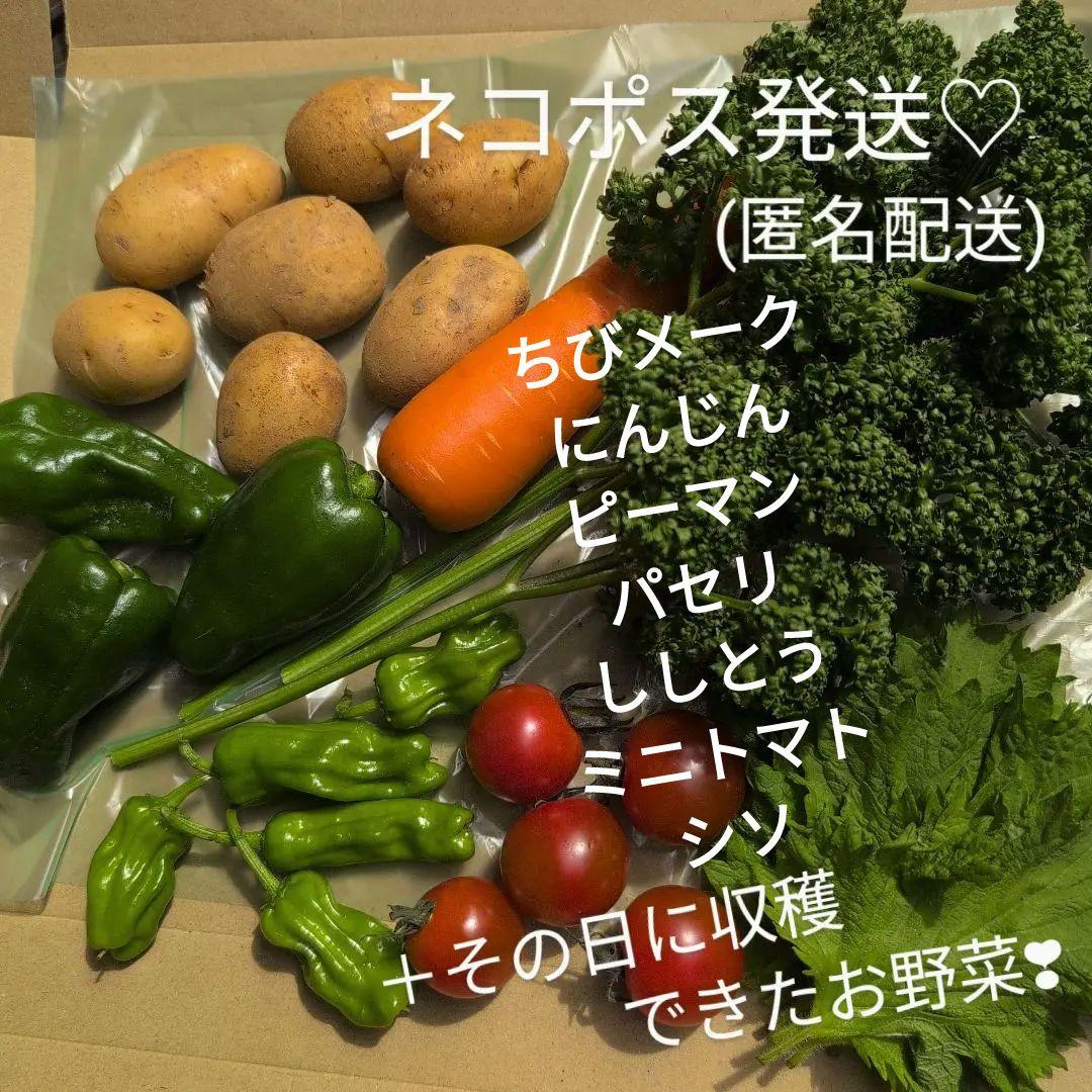 冷凍小松菜とピーマンの簡単だし解凍法TikTok