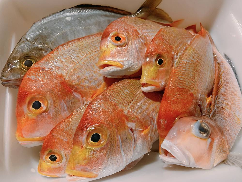 清蒸熟成魚」のススメ。低温熟成キダイの「清蒸」で舌が唸る！！ORETSURI