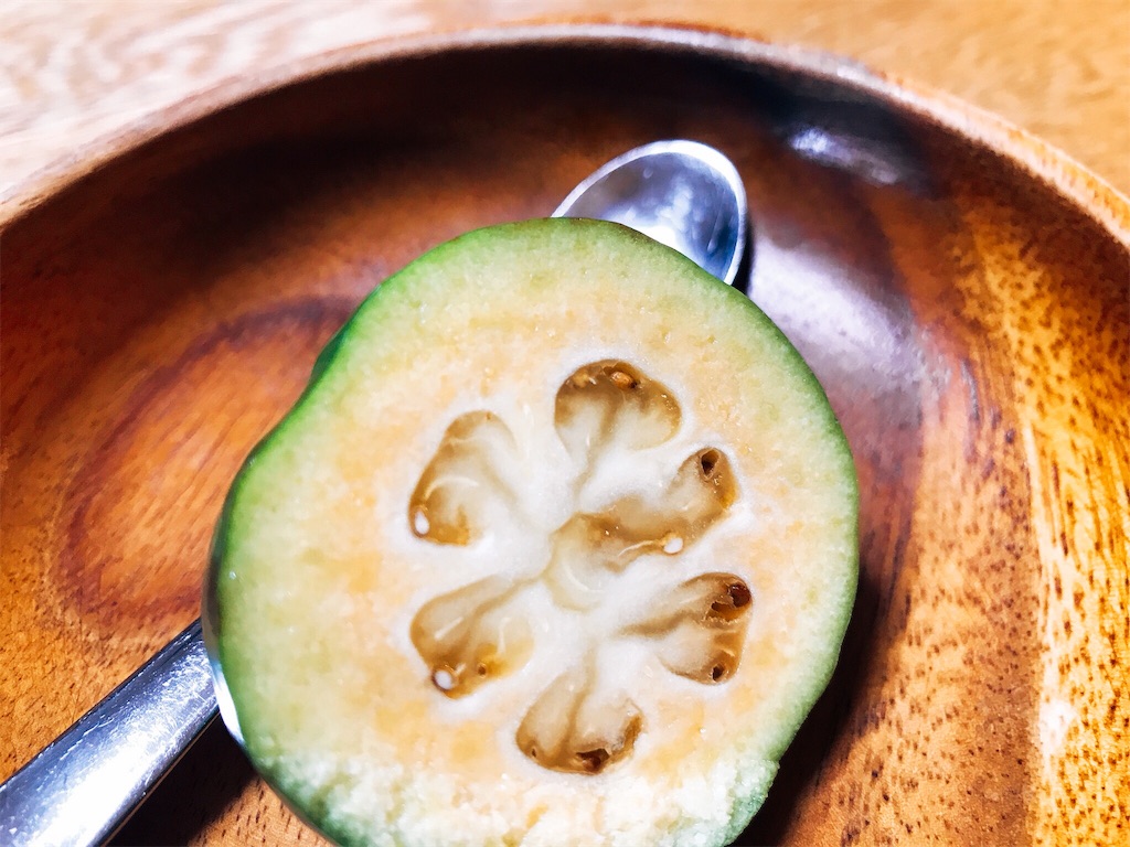 幻の果実 フェイジョア パイナップル×いちごの香り！ 花も食べられる栽培と絶品レシピGardenStoryガーデンストーリー