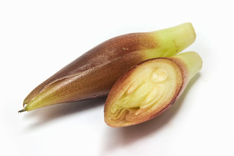 長期保存可能！ミョウガの甘酢漬け