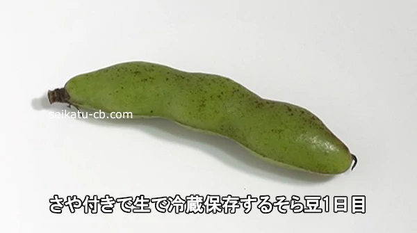 そら豆の上手な保存方法, お酒のおつまみにぴったりなそら豆, 沢山手に入ったら上手に保存して, 長く美味しく楽しみましょう！,———————————————————————————, 長年培ってきた食や健康の情報, 農家さんの農業知識などあまり見る事のできない,情報も発信していきます, ✤難しい情報もなるべく簡単にを心がけて, ✤食のちょっとした疑問にお答えします,