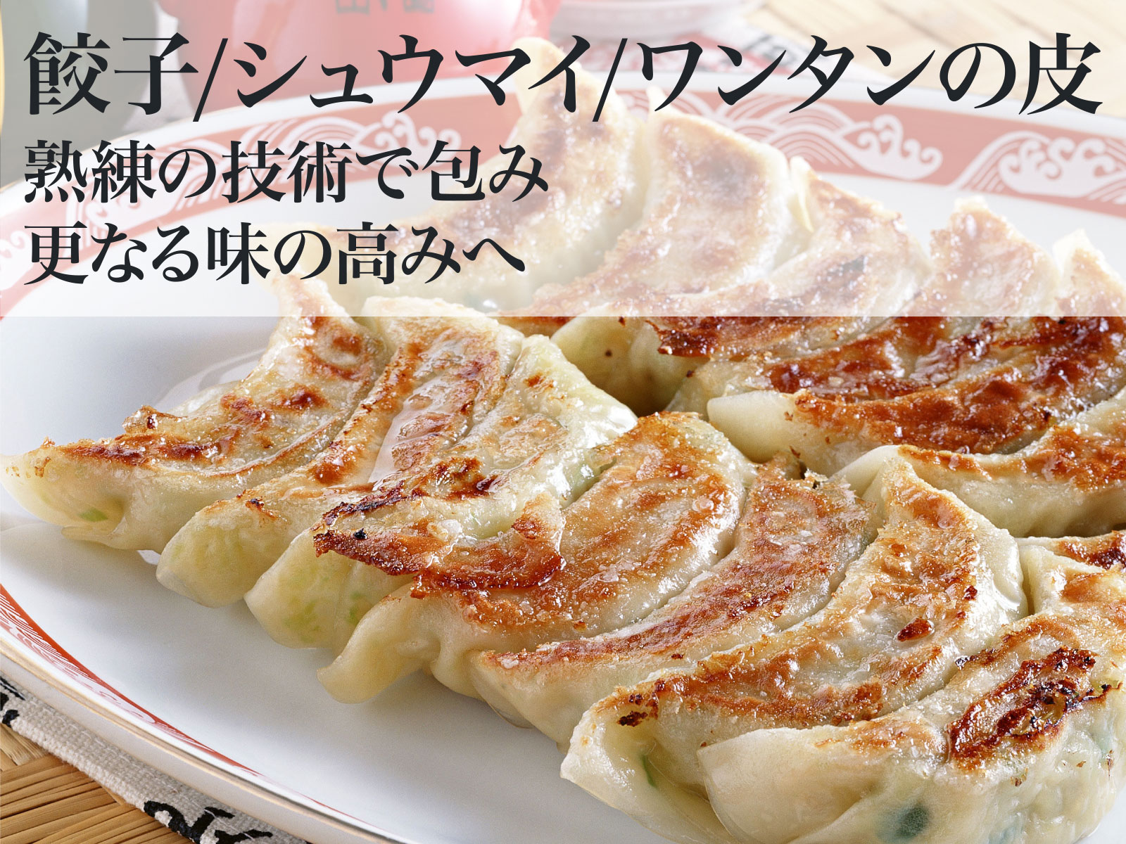 Amazon.co.jp: ワンタンパイ製造機、自動餃子の皮、商業 家庭用餃子の皮メーカー、多機能電気餃子の皮マシン、ワンタンラッパーマシン、生地処理ツール: ホーム＆キッチン