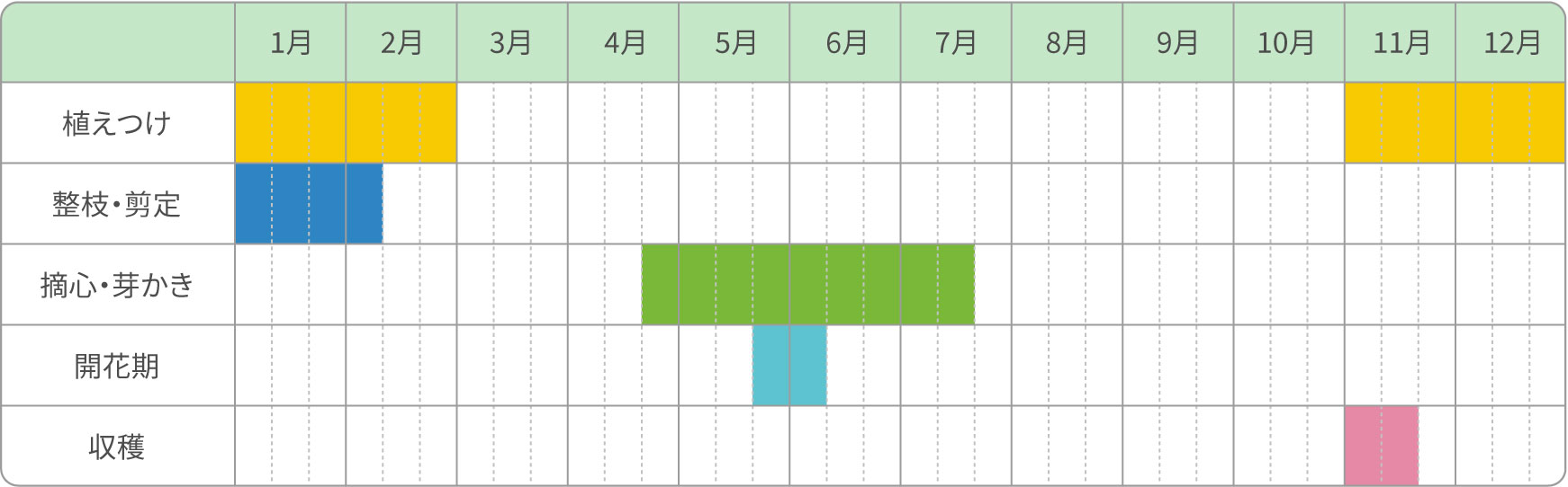 I will teach you how to grow kiwi that can be done in pots - YouTube