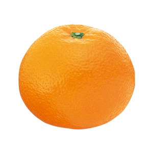 みかんと色素愛媛みかん 西宇和みかん