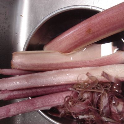 ずいきの使い方と戻し方干しずいきの調理・保存方法まとめ