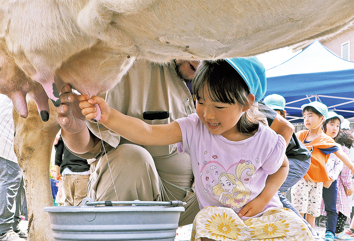 ウインターシーズン ジャージー牛の乳搾り体験 牛乳の試飲ができます受付は２名様から お一人様１，２００円 ファームズ千代田 ふれあい牧場 -じゃらん遊び体験