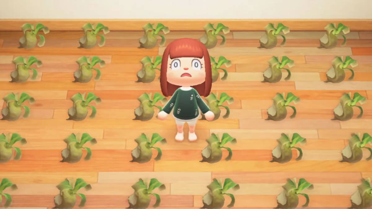 カブ あつ森のカブ価の変動を読み取ろう！！ページ 2あつ森いんふぉ