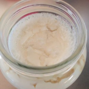 カスピ海ヨーグルト失敗しない作り方！買っちゃった