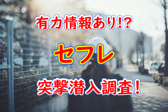 宇都宮でNS・NNできるソープは5店舗！生で遊べる情報が満載！ | 珍宝の出会い系攻略と体験談ブログ