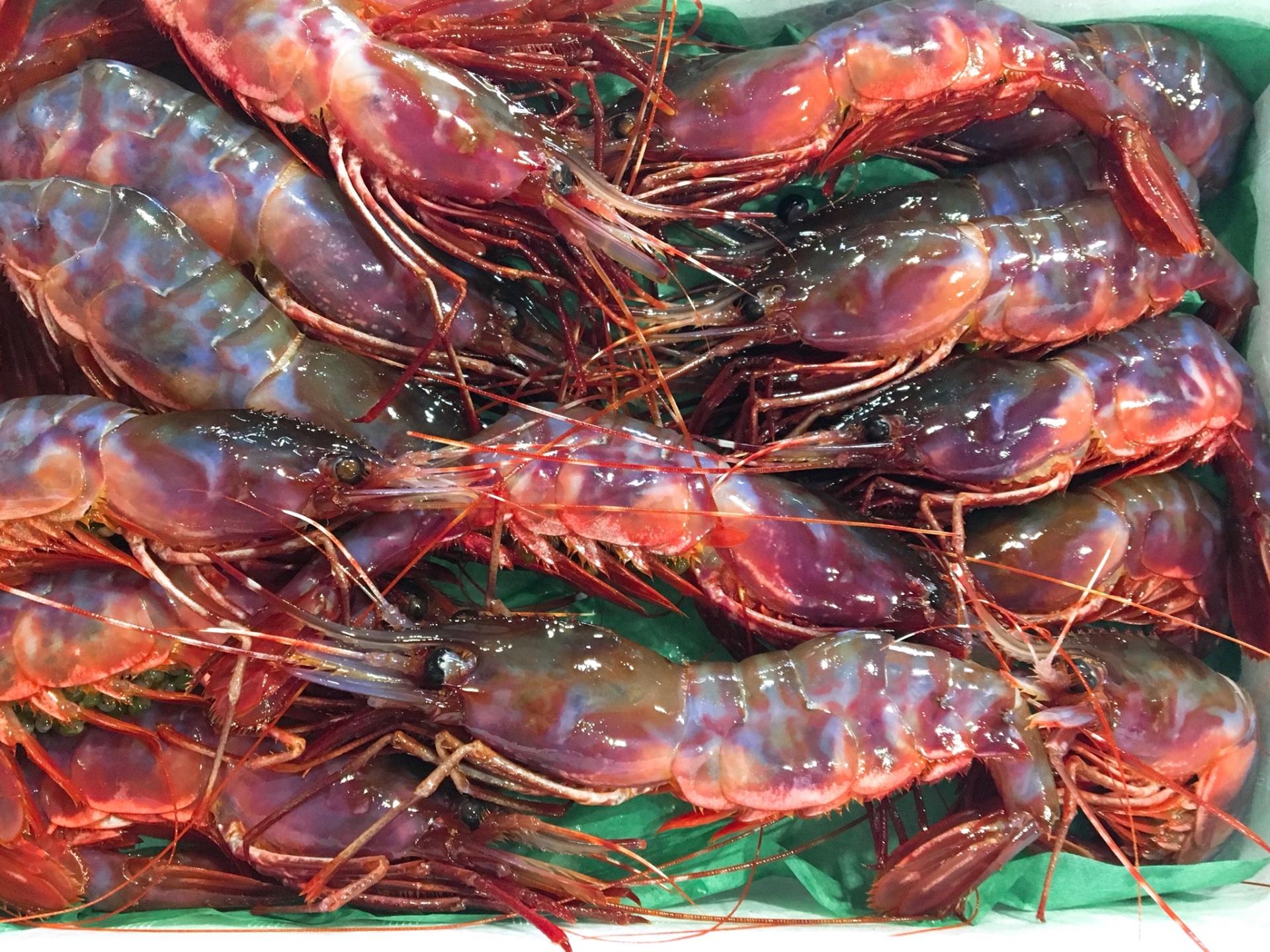 エビ・エビ料理×高級の人気おすすめランキングベストオイシ