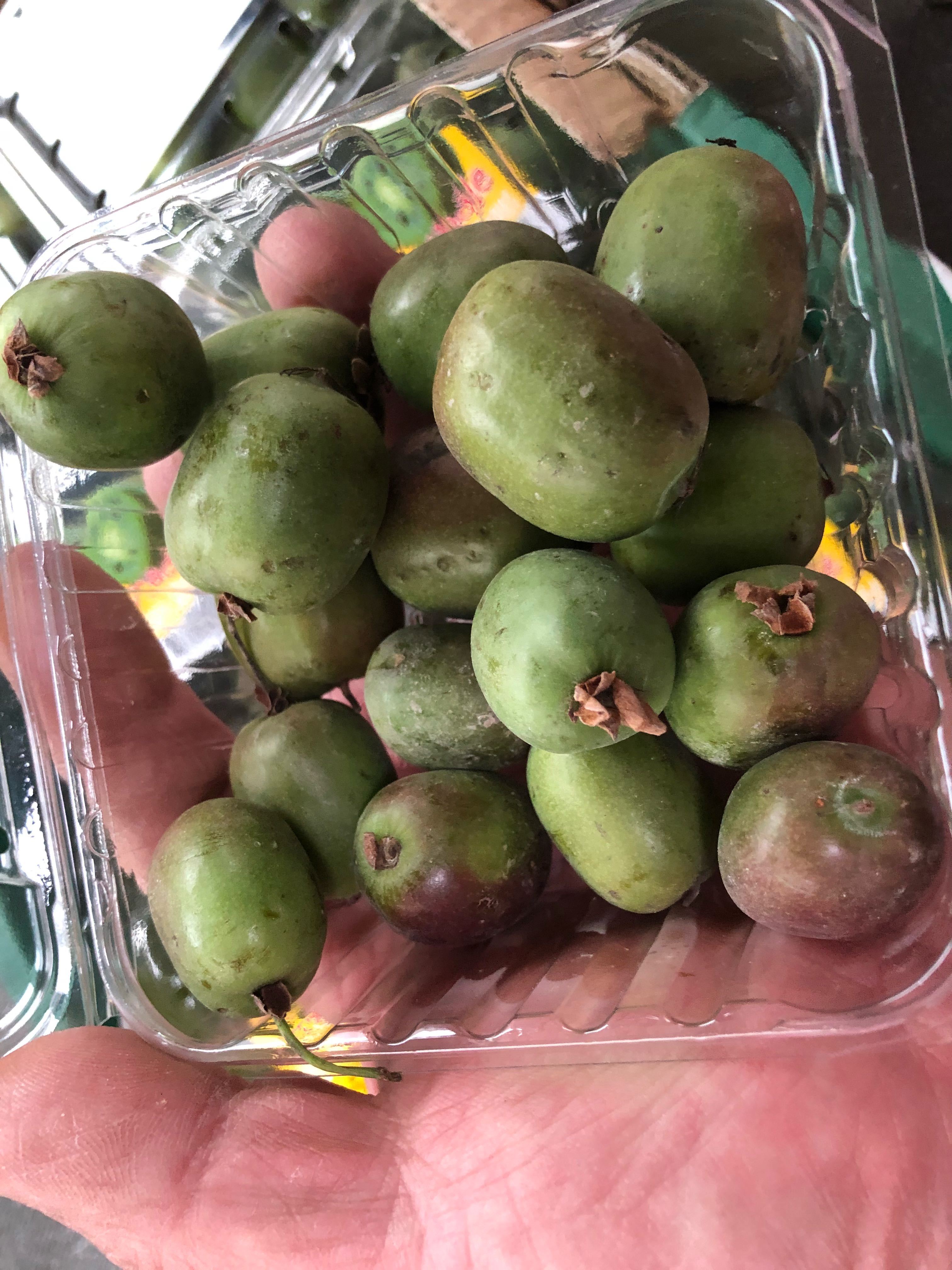 Amazon.co.jp: Gresorth 小さいフルーツ模型 かわいい果物セット 七種類 リアリスティック 食品サンプル デコレーション お供え物部屋置物 撮影小道具 収穫祭飾り パーティー装飾物 : ホーム＆キッチン