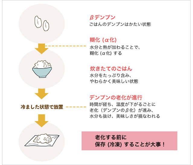 余った「ご飯」の1番おいしい“冷凍保存法”を検証→「3つの方法で食べ比べ」「明らかに違う！」