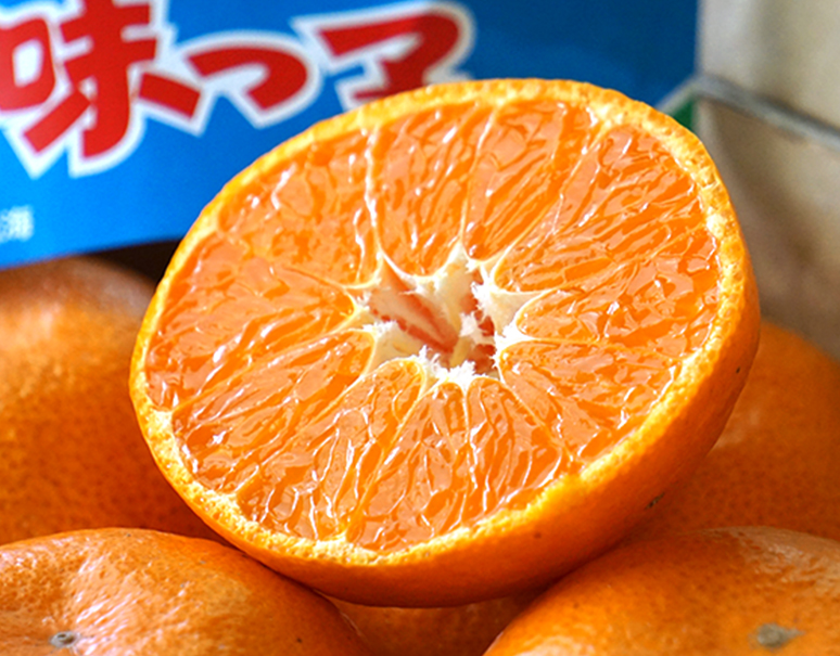 紅菜苔 こうさいたいべになばなの選び方や料理:旬の野菜百科