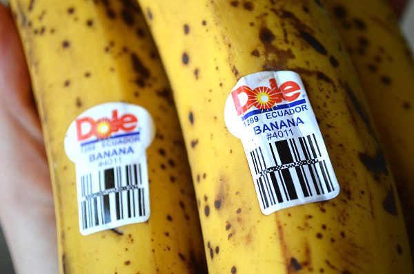 A-0010 「島バナナ」珍しい！約1kg おいしいバナナの選び方！安全・NGなものの見分け