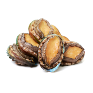 楽天市場 貝刺しの通販