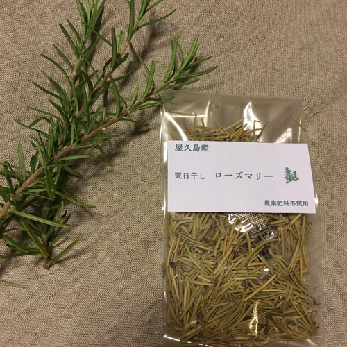ローズマリーの使い方レシピは？効果効能や保存方法もご紹介 -Food for Well-being -かわしま屋のWebメディア