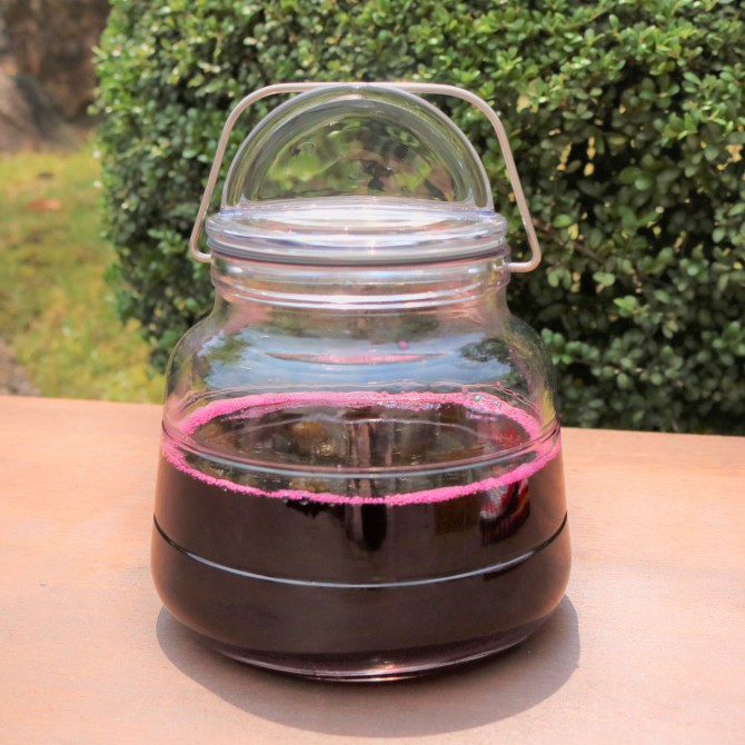 大葉の虫食い対策！酢を使った手作りスプレーで解決