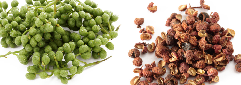 花山椒とは？山椒や花椒との違い、おすすめの使い方・レシピを紹介HANKYU FOOD おいしい読み物フード 食品・スイーツ 阪急百貨店公式通販HANKYU FOOD