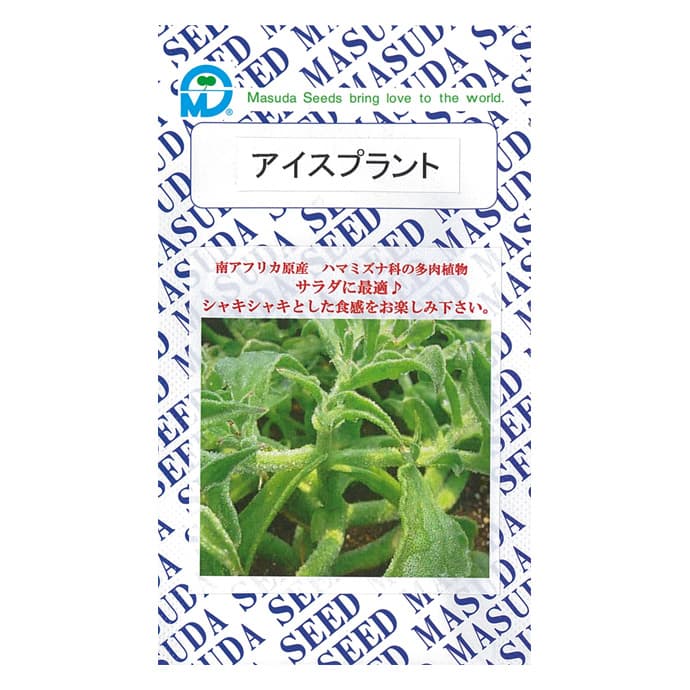 アイスプラント アイスプランツ の育て方・栽培方法野菜の育て方・栽培方法