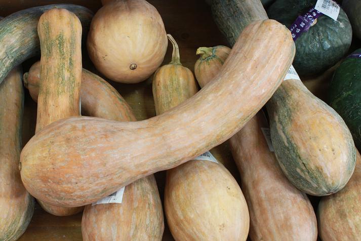 不思議なカボチャEmiko's Vegetable Haven