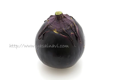 元ブリーダーが選ぶ ナスのおすすめ品種・種子ランキング! 家庭菜園向けFieldman Research